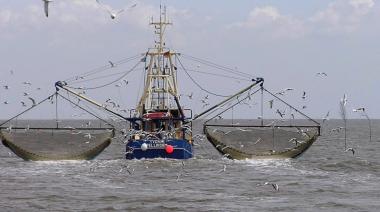 El cambio climático desplaza a los peces hacia los polos: ¿qué significa esto para la pesca mundial?