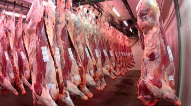 El mercado de carne vacuna se redefine ante cambios en la demanda global