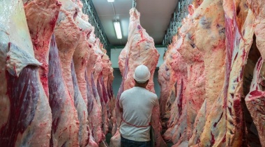 Exportaciones de carne vacuna: ajuste en los volúmenes y recuperación de precios internacionales