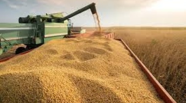 Guerra comercial: cómo los nuevos aranceles chinos impulsan las exportaciones de soja de Brasil y Argentina