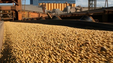 El Agro Argentino proyecta exportaciones récord para 2035 bajo un nuevo escenario cambiario