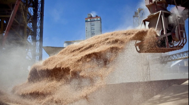 Abril agroexportador: se liquidaron más de USD 2.500 millones con un alza del 35% anual