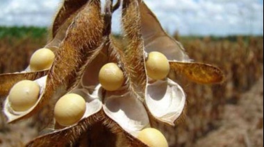 CIARA considera injustificada la calificación de riesgo ambiental asignada a Argentina por la Comisión Europea