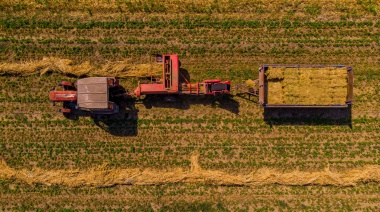 Liquidación de divisas del sector agroexportador alcanzó los US$ 3.054 millones en mayo