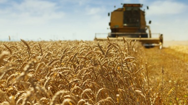 Monitor Agroindustrial: Recuperación en divisas y exportaciones clave para el sector
