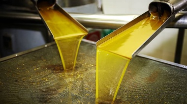 Nueva baja de aranceles mejora condiciones para la exportación de aceites argentinos hacia la India