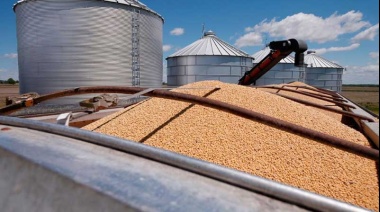 El sector agroindustrial argentino exportó US$ 4.301 millones en mayo, con una caída interanual del 8,1%