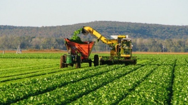 CIARA-CEC: Liquidación de divisas por agroexportaciones con un marcado ascenso en junio