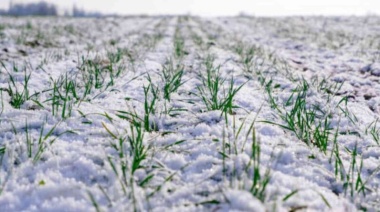 Nevadas y descenso hídrico marcan el final de junio en el sudoeste bonaerense