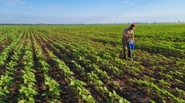 Agroindustria y ambiente: Argentina se posiciona globalmente con prácticas de producción sostenible