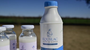 Descubren un "súper alimento" que crece en el mundo: Equslac, única en Argentina que lo industrializa, busca expandirse y ganar otros mercados
