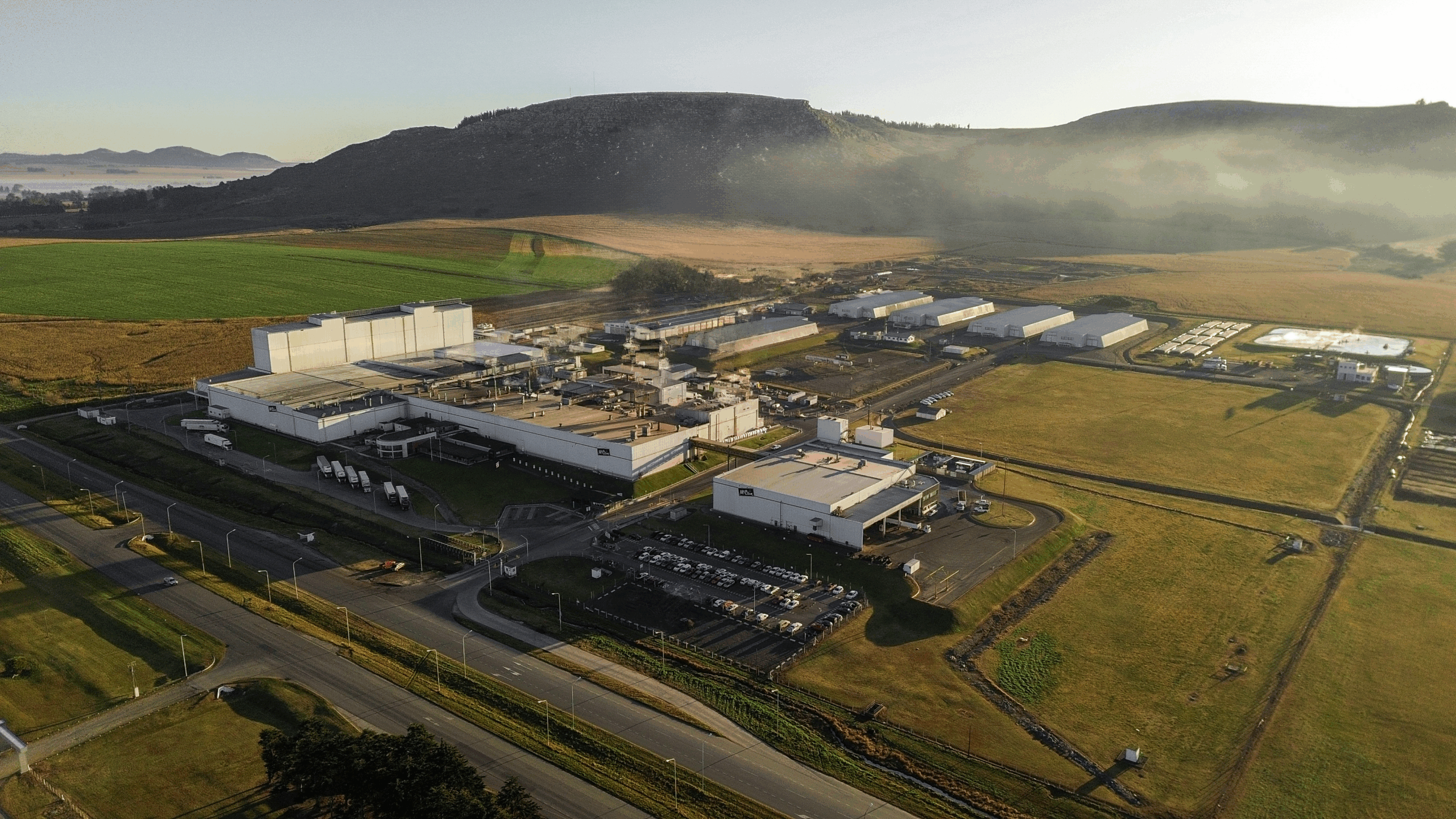 Papas congeladas: McCain anunció una inversión de US$ 100 millones en su planta de Balcarce para potenciar producción y exportaciones