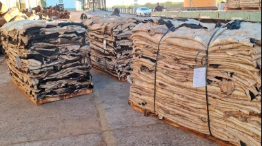 Hito en el Puerto de Barranqueras: Se consolida por primera vez en la historia la exportación de cuero salado con destino a China