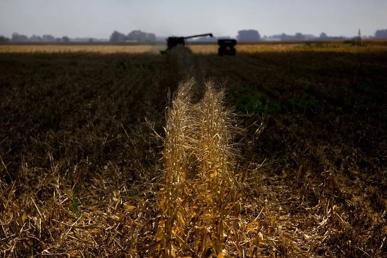 El agro proyecta un 8% más de producción y US$ 28.800 millones extra en diez años
