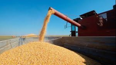 El USDA revela un panorama mixto: fuertes subas en maíz, pero recortes en la proyección mundial de soja y trigo