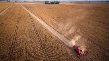 Un sistema innovador reduce a la mitad las pérdidas de granos en la plataforma durante la cosecha de soja