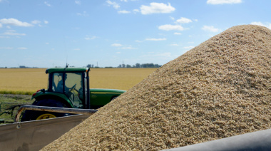 El sector agroindustrial generó el 60% de las divisas que ingresaron al país en el primer semestre