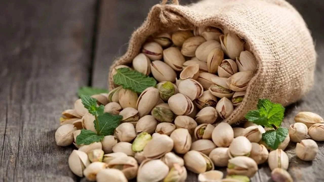 Del maní al pistacho: Prodeman apuesta por un ambicioso proyecto agrícola en San Juan