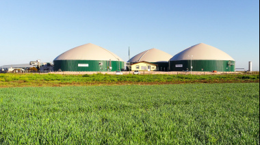 Adecoagro cerró el segundo trimestre con pérdidas tras la caída de rentabilidad
