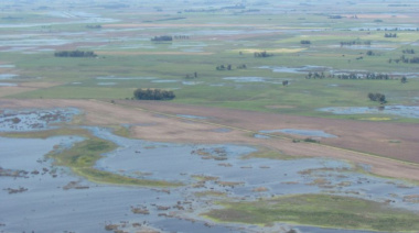 Riesgo agropecuario: la "Tormenta de Santa Rosa" podría agravar los excesos hídricos en Buenos Aires