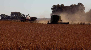 El agro argentino proyecta exportar más de US$ 10.100 millones en el último cuatrimestre de 2025