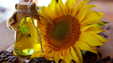 Argentina: exportaciones de aceite de girasol alcanzan su máximo de dos décadas