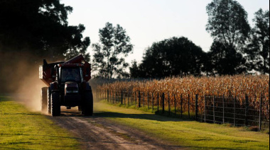 La Bolsa de Cereales de Buenos Aires anuncia el fin de la cosecha de maíz 24/25 con una producción de 49 millones de toneladas