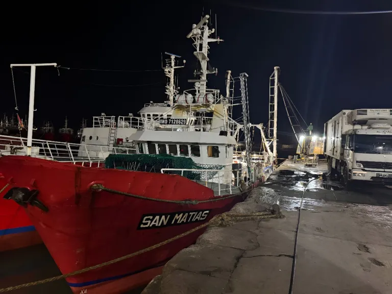 Mar del Plata se consolida como referente de calidad en el langostino fresco