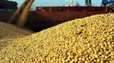 Brasil modera sus embarques de soja y Argentina se afianza como exportador de valor agregado en la ECSA