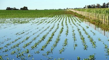 Beneficios fiscales para campos inundados: SRA y ARCA anuncian un plan para productores bonaerenses