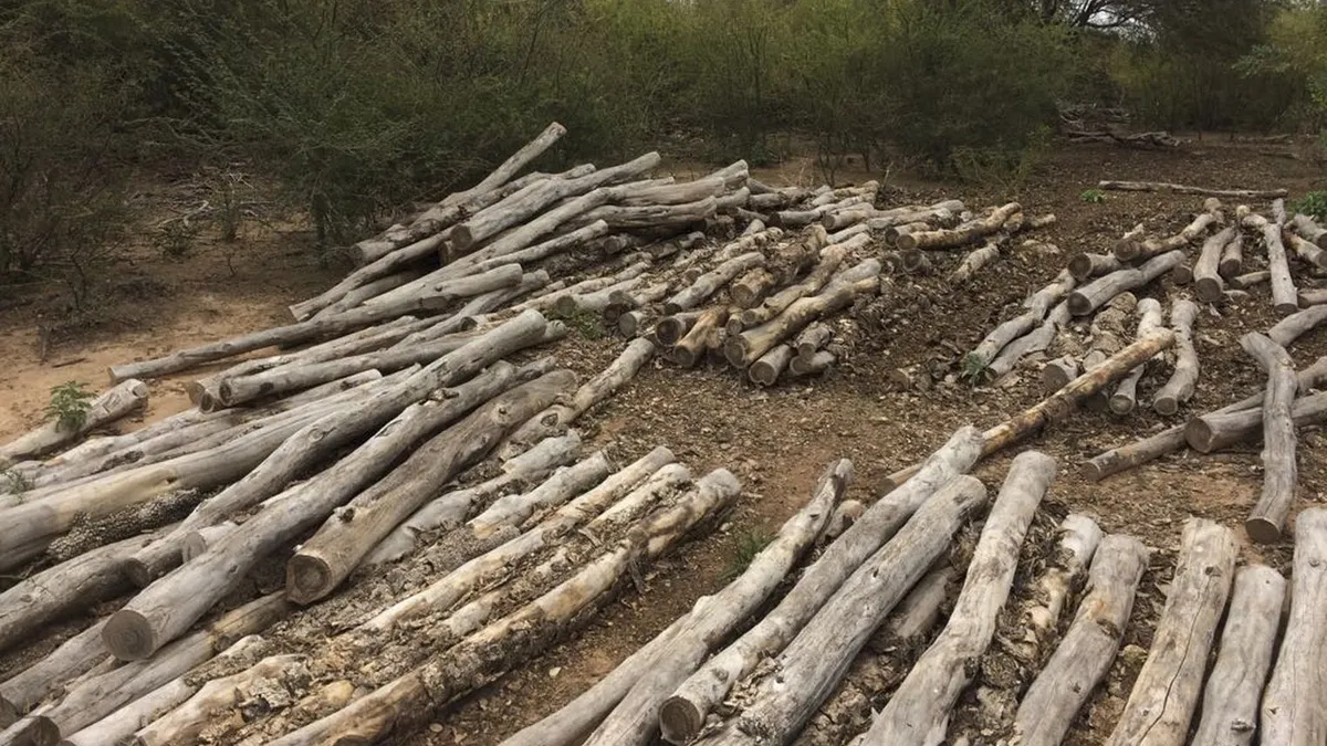 La Unión Europea retrasa un año más la ley contra la deforestación