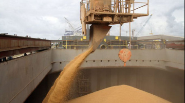 La harina de soja lideró las declaraciones tras el fin de las retenciones, con eje en el Cordón Industrial