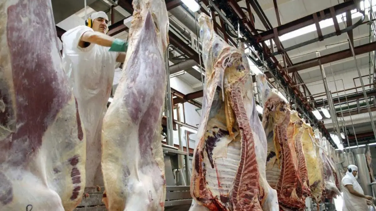 El Gobierno ratifica que la quita de retenciones a la carne continuará sin cupo hasta el 31 de octubre