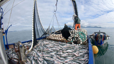 La CTMFM prohíbe la pesca de merluza común en la ZCP para proteger ejemplares juveniles