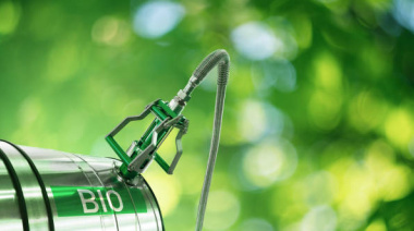 La gota verde: Por qué los Biocombustibles son la llave para descarbonizar el transporte marítimo global