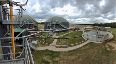 Transformación de residuos agroindustriales: Pacuca genera energía a partir de efluentes porcinos.