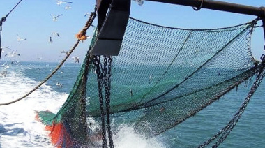 El valor de las Unidades Pesca aumenta un 13,26% y se actualiza el régimen sancionatorio