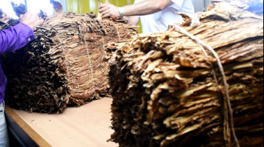 Argentina asigna un cupo arancelario de tabaco para su exportación a Estados Unidos