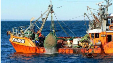 Alerta por la biomasa de langostino: un informe oficial revela una caída en la principal pesquería del país
