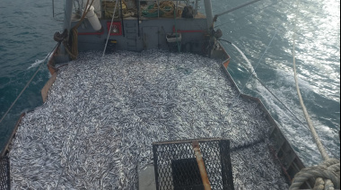 Rawson avanza en la certificación de sostenibilidad de su pesquería de anchoíta