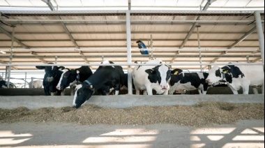 Expansión láctea argentina: crecimiento productivo del 11% impulsa las exportaciones y la demanda de logística especializada