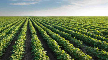 La siembra de soja avanza en la Zona Núcleo con márgenes en alza y pronóstico de alta productividad