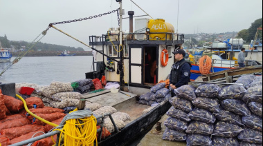 Chile: Policía Marítima incauta más de una tonelada de mariscos contaminados con marea roja en Calbuco