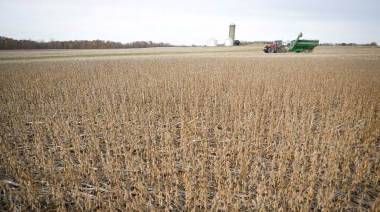 La agroexportación liquidó US$ 1.117 millones en octubre