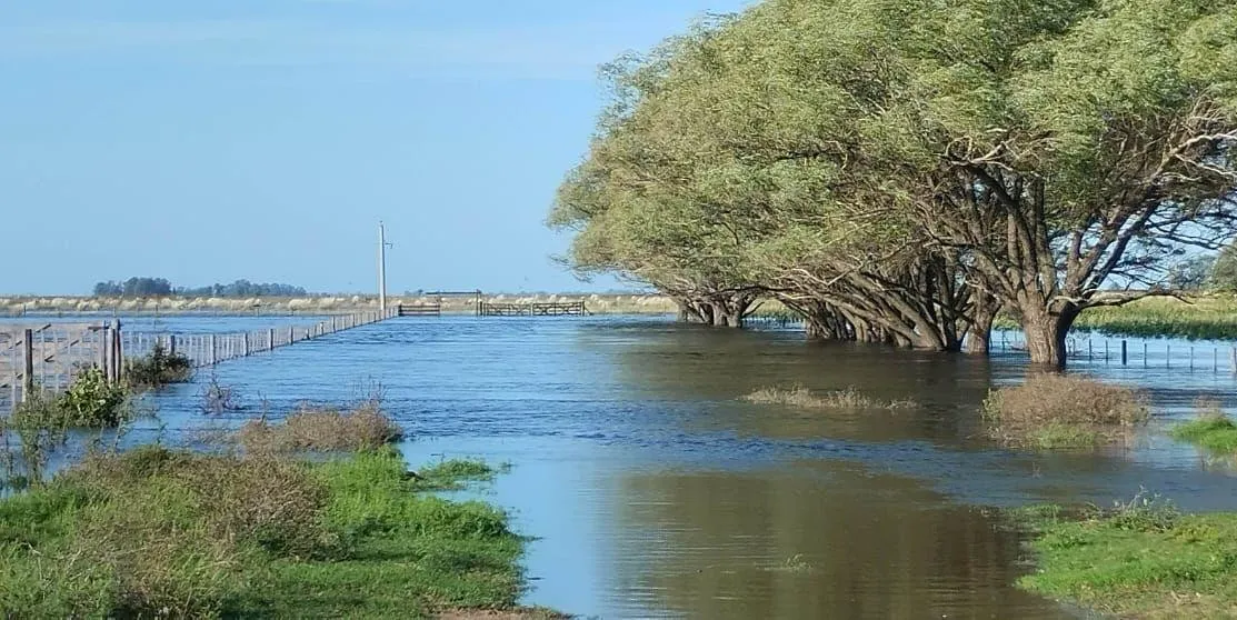 El centro agropecuario argentino bajo nueva alerta por tormentas