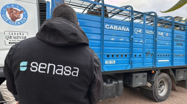 Argentina logra la apertura de Sudáfrica para la exportación de colágeno bovino hidrolizado