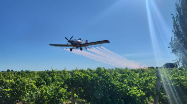 San Juan protege su cosecha vitivinícola