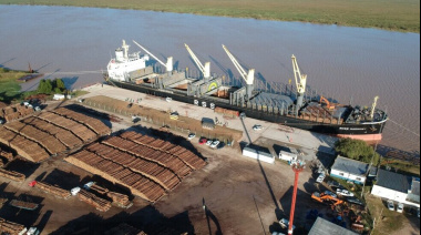 El Puerto de Concepción del Uruguay retoma la exportación de eucalipto a la India