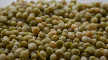 La cosecha de legumbres crece un 57% y supera el millón de toneladas