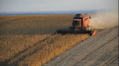El Consejo Agroindustrial Argentino rechaza la salvaguardia agrícola de la UE